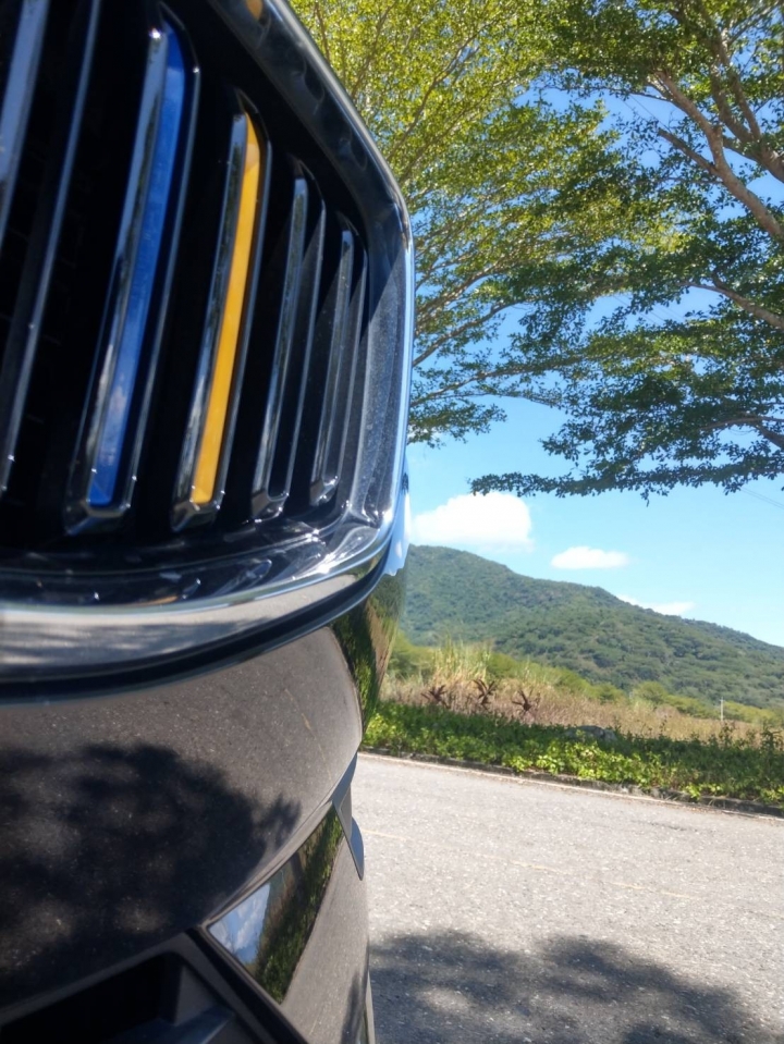 瑞典國寶與日本subaru
