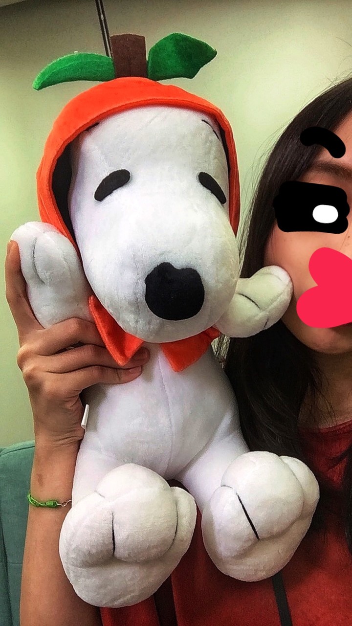 SNOOPY控來曬收藏