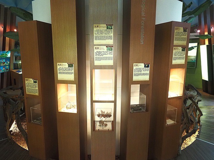 南澳生態教育館 — 偏鄉小徑知性之旅 — 宜蘭獨立設縣70周年紀念集章活動 集章景點《4》