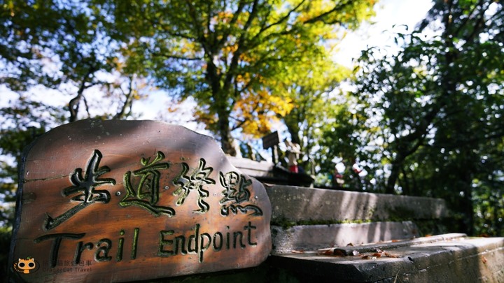 台灣山毛櫸步道一日遊,秋季限定楓紅景!