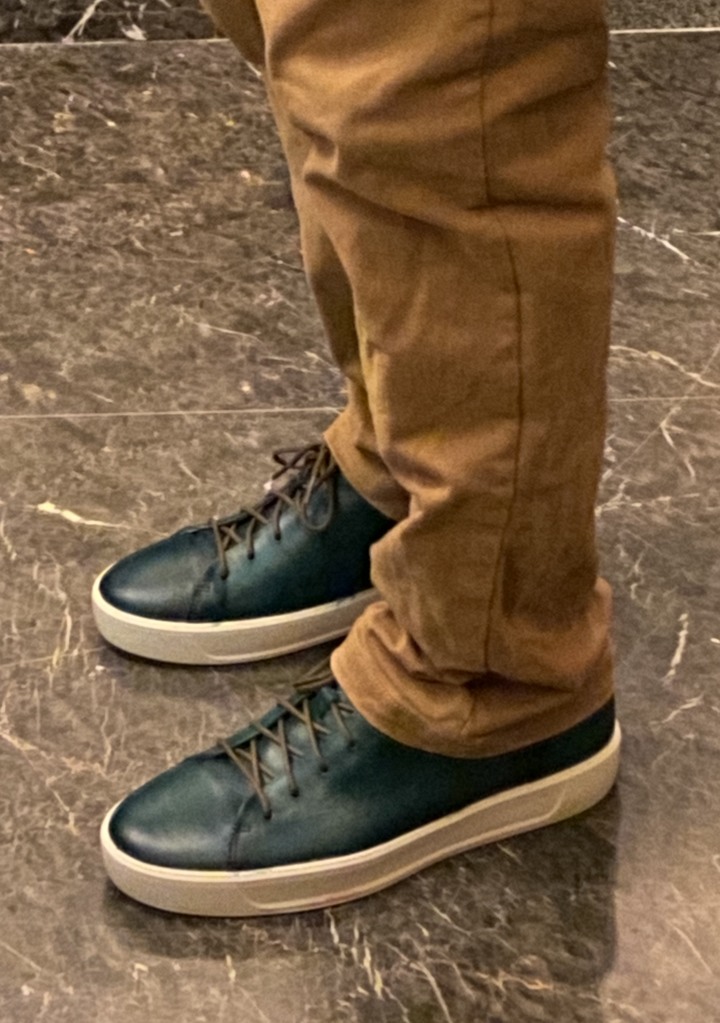 偽Patina ECCO 休閒鞋改色