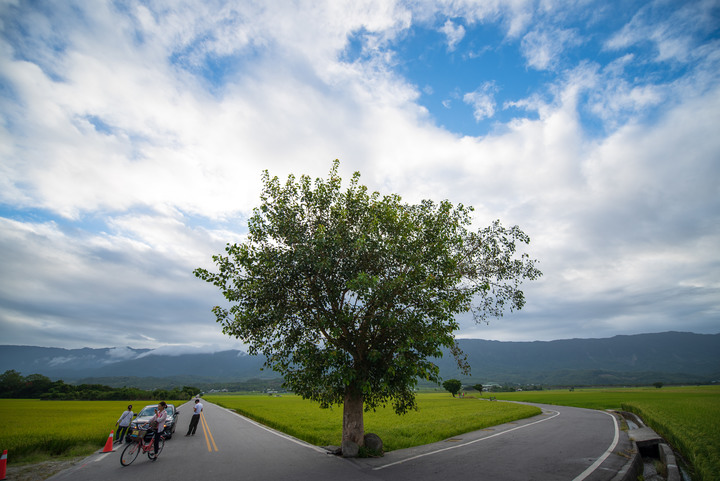 第一顆大三元14~24 mm F2.8G(陪我花東走一遭)