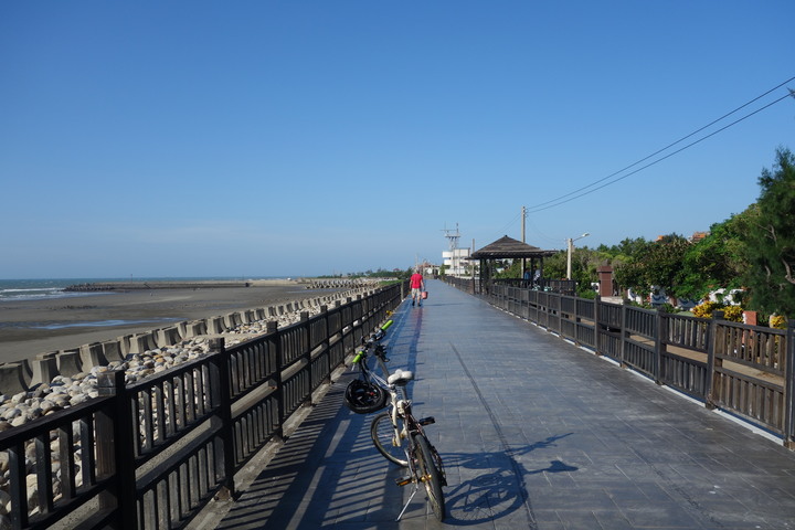 2020經典不落,苗栗113,阿虎尋親記,