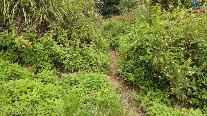 [樂山童盟] [桃園市桃園區] 桃園虎頭山步道(三分山-五分山-停機坪-虎頭山-虎頭山環保公園)