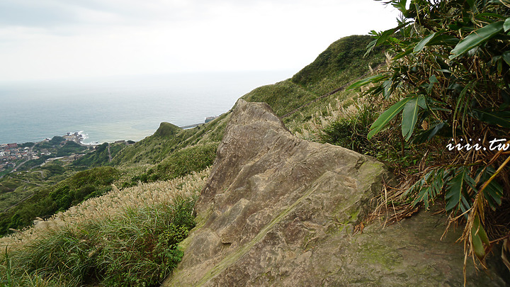 鴿子岩・芒花秘境