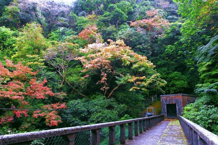 【北投】亞洲第一湧泉!陽明山「藍寶石泉」絕美湛藍湧泉首次開放!