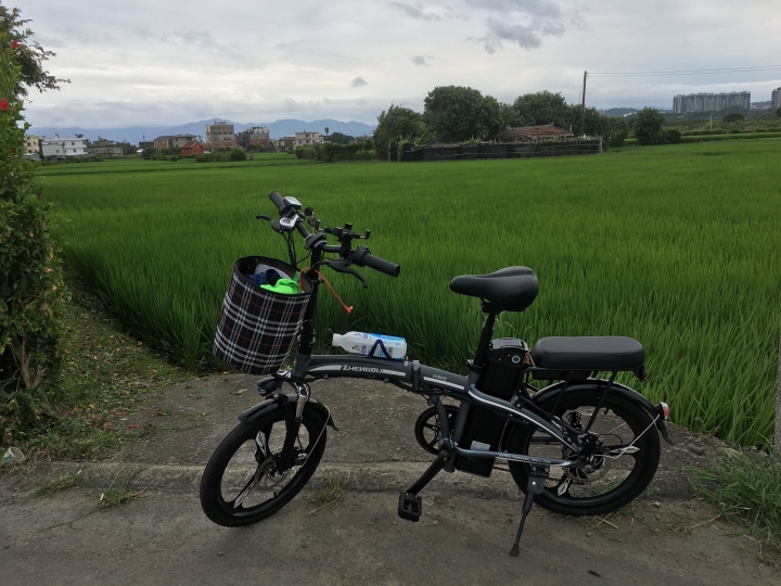 20吋大電池電動小折內灣半日遊