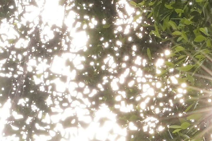 Tamron 70-300mm f/4.5-6.3 DiIII RXD (A047)最親民的望遠鏡頭