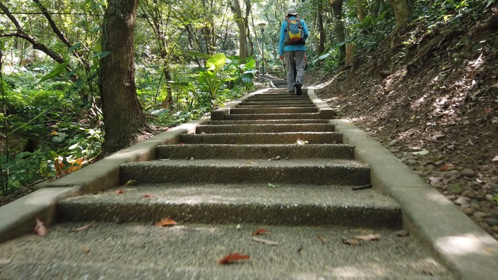 [樂山童盟] [桃園市桃園區] 桃園虎頭山步道(三分山-五分山-停機坪-虎頭山-虎頭山環保公園)