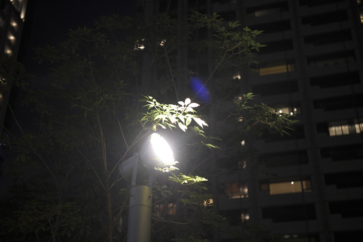 iPhone 12 Pro 夜拍對比 Nikon D850 夜拍直出