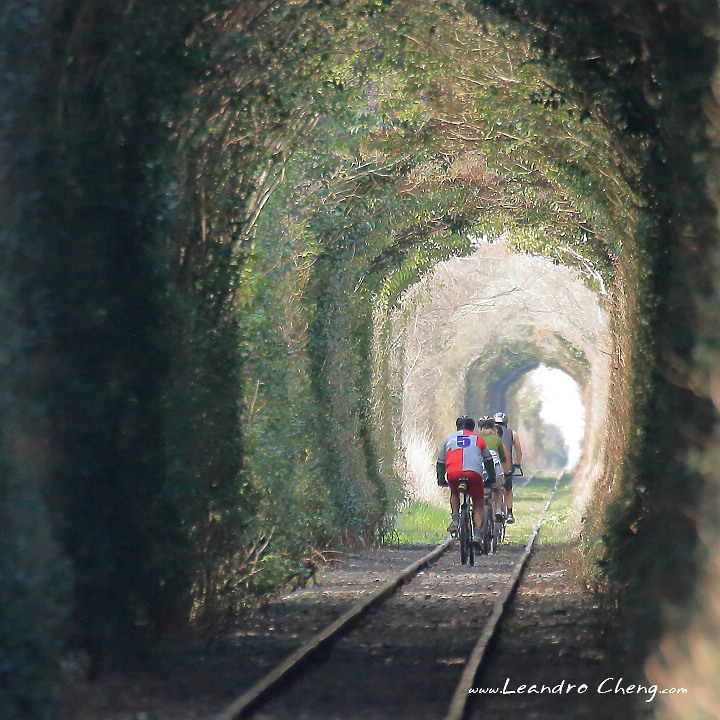 愛的隧道 - 綠色火車鐵路隧道 EOS M5