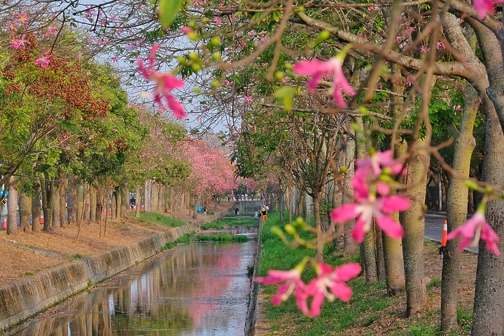 〖X-H1〗相輔相成好夥伴 與我前行的回憶