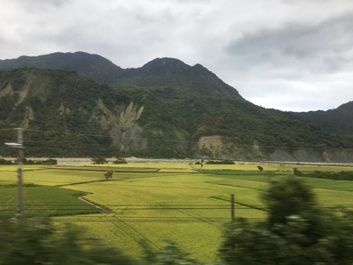 搭末班車「藍皮普快」騎遊台東鹿野