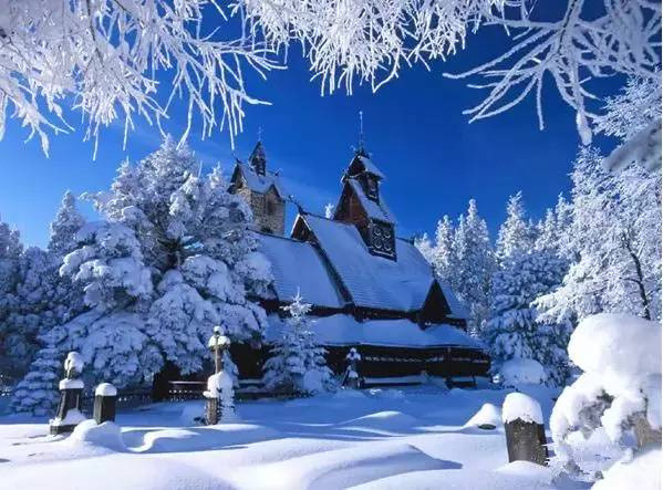 東北這幾天下暴雪，好想去東北玩雪啊