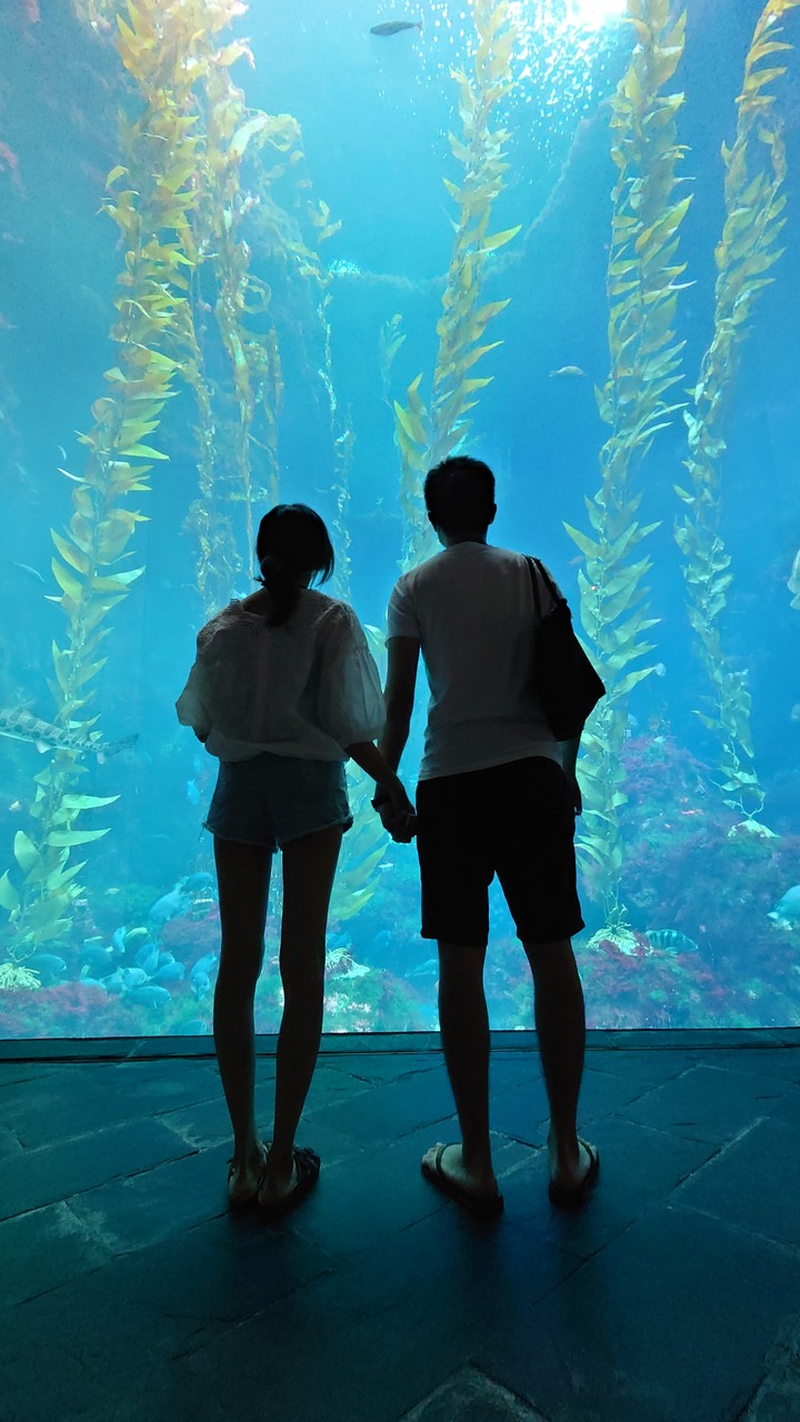 帶著Xperia 1 II 鏡湖綠旅遊去(圖多)