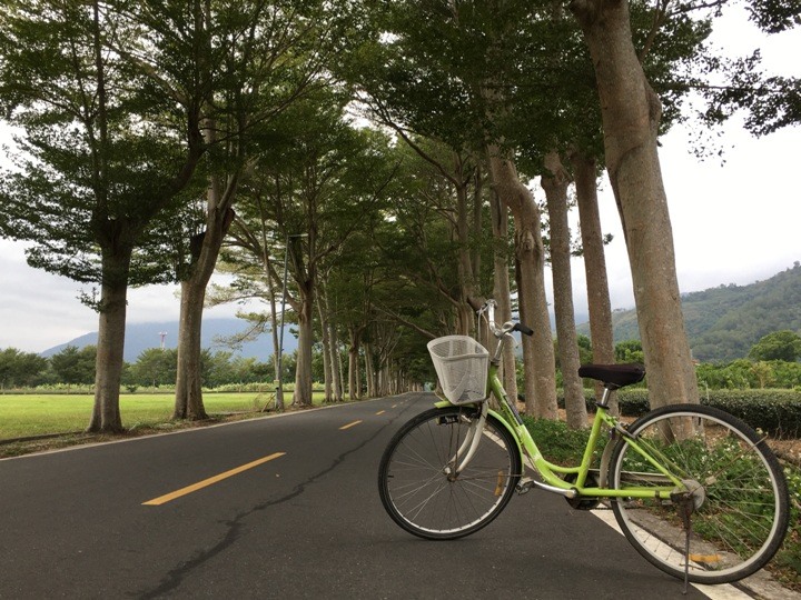 搭末班車「藍皮普快」騎遊台東鹿野