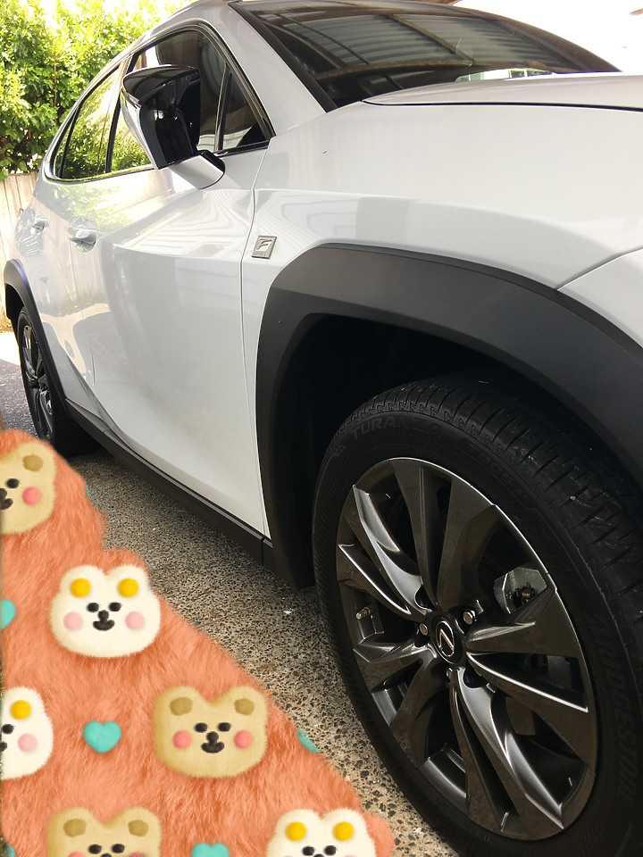 UX 200 F Sport