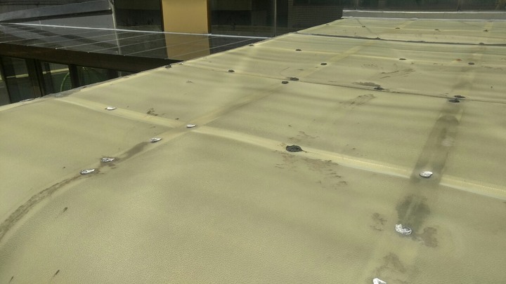 【開箱文】30多歲靠自己台北市買老房的裝潢歷程。