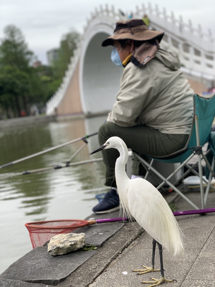 點我看大圖