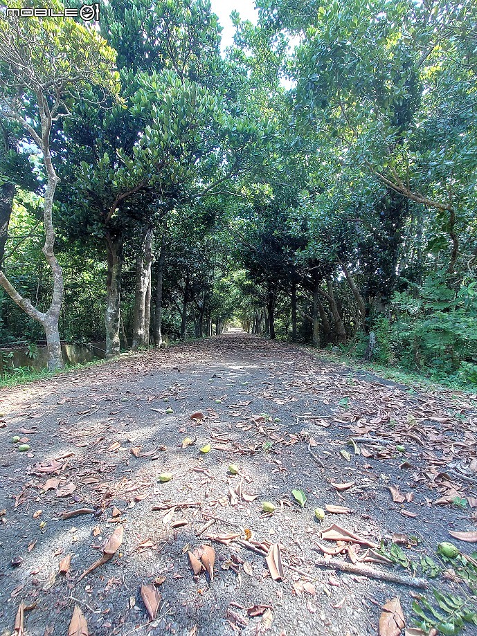 帶Xperia 1 II勇闖秘境 圖多