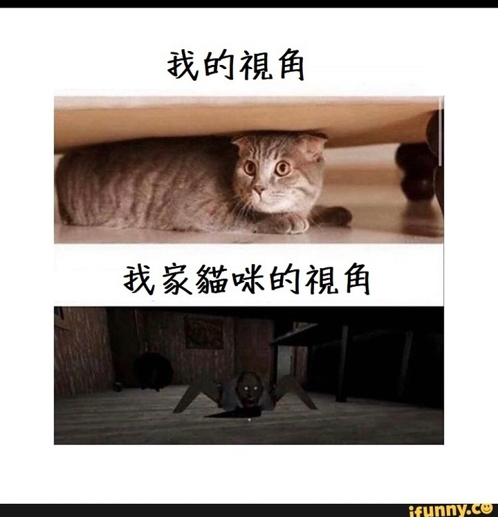 11.4 趣味梗圖 🐻🐻