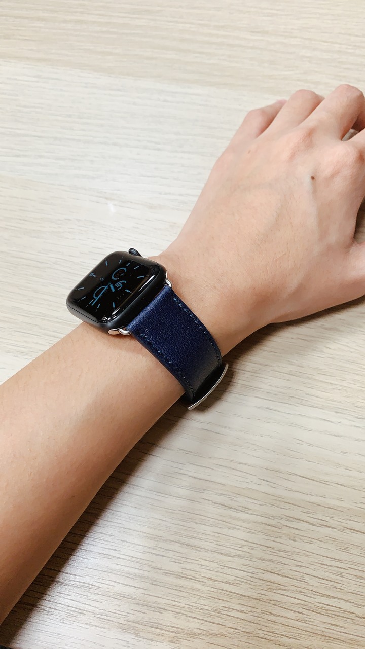 [心得] 人生第一支Apple Watch & alto錶帶 開箱
