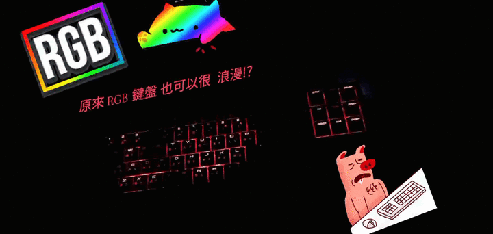 原汁原味 正宗Cherry 鍵盤 MX BOARD 1.0 TKL RGB 簡單開箱