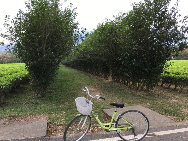 搭末班車「藍皮普快」騎遊台東鹿野