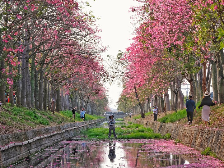 〖X-H1〗相輔相成好夥伴 與我前行的回憶