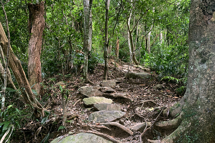 新北烏來｜內洞國家森林遊樂區｜水墨畫般內洞瀑布群