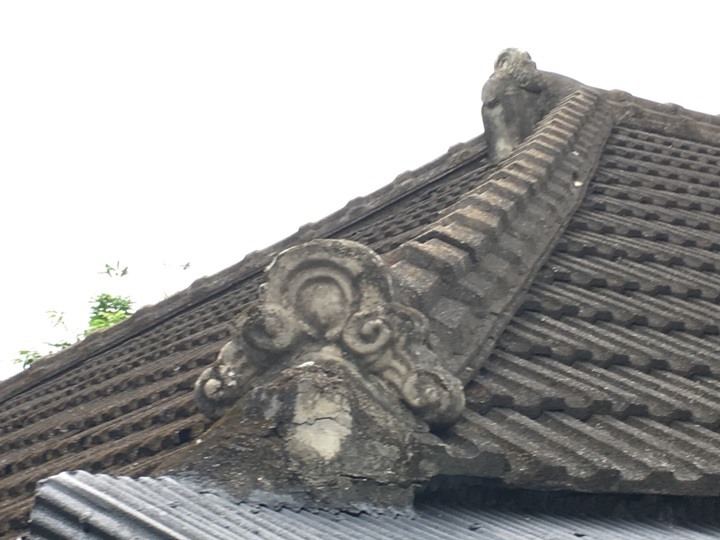 搭末班車「藍皮普快」騎遊台東鹿野