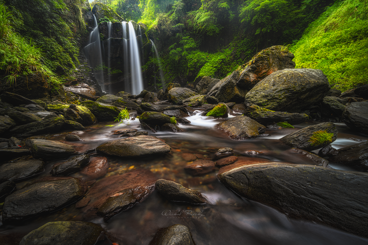 全幅初體驗,我的NIKON Z7周歲回顧