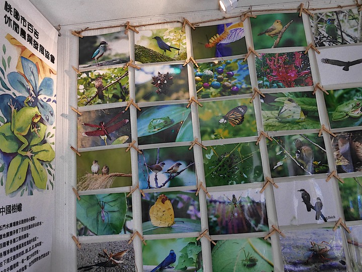 富岡老街漫遊之「跳舞吧!這裡有花」— 2020桃園社區營造博覽會主場 — 桃園 楊梅 富岡老街