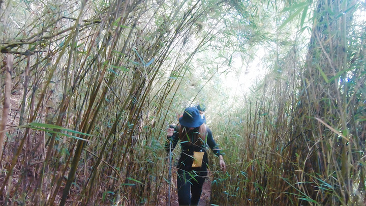 新手入門百岳 | 郡大山 一次享受輕鬆野營無敵大景