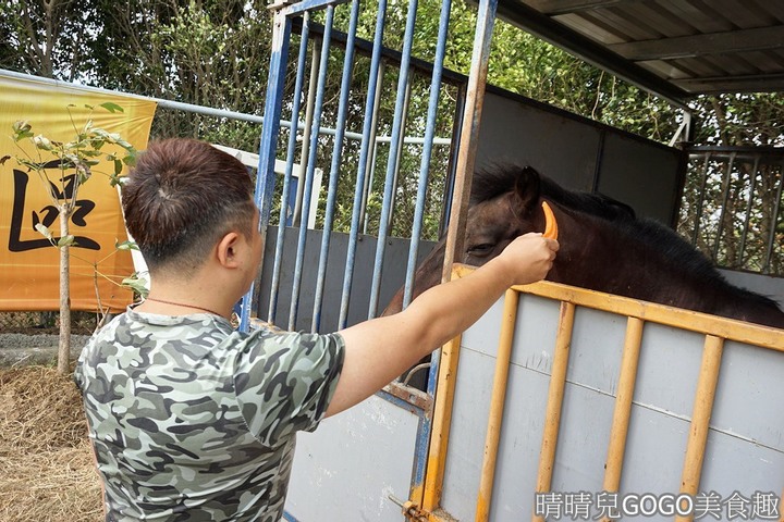 新竹縣.新埔-大日馬術文創園區.冬夏令營.英式馬場馬術體驗.馬術運動.地址|電話|營業時間