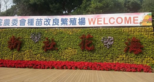 愈來愈差的新社花海!