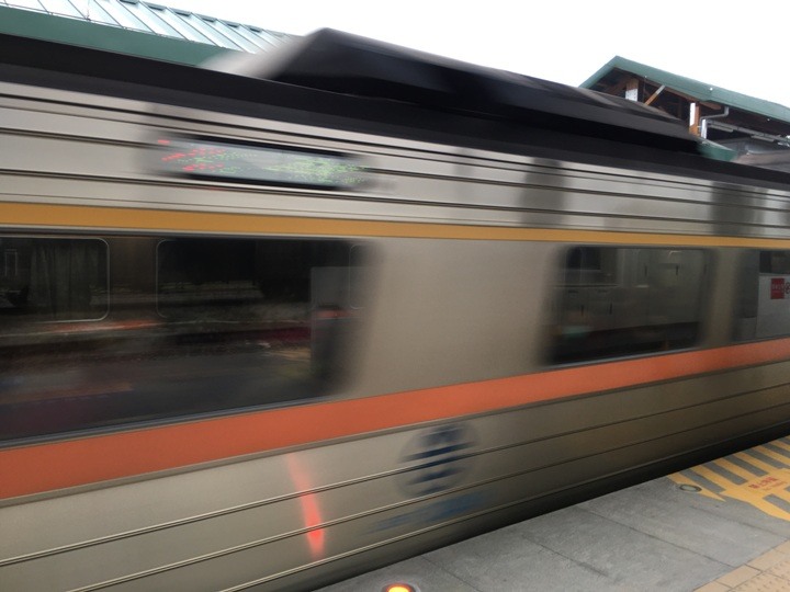 搭末班車「藍皮普快」騎遊台東鹿野