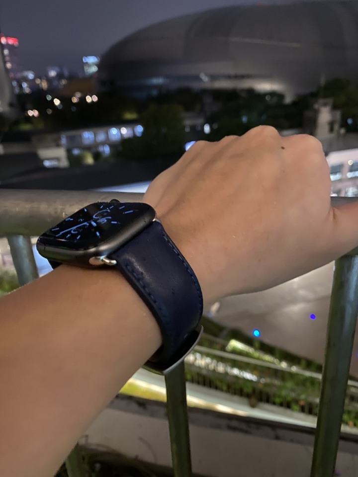 [心得] 人生第一支Apple Watch & alto錶帶 開箱