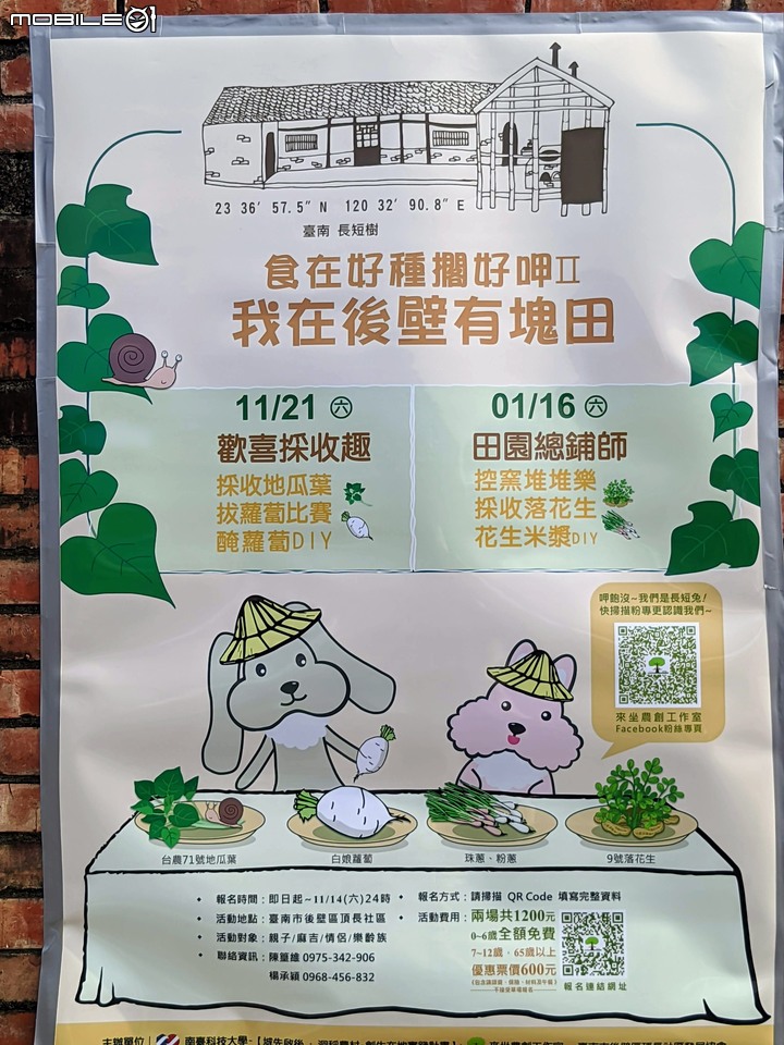 花海 台南市後壁區頂長里粨面宋江公園 11/21