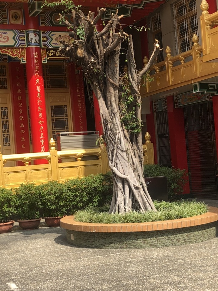 【台南景點】彌陀寺- 全台最古老的寺廟之一