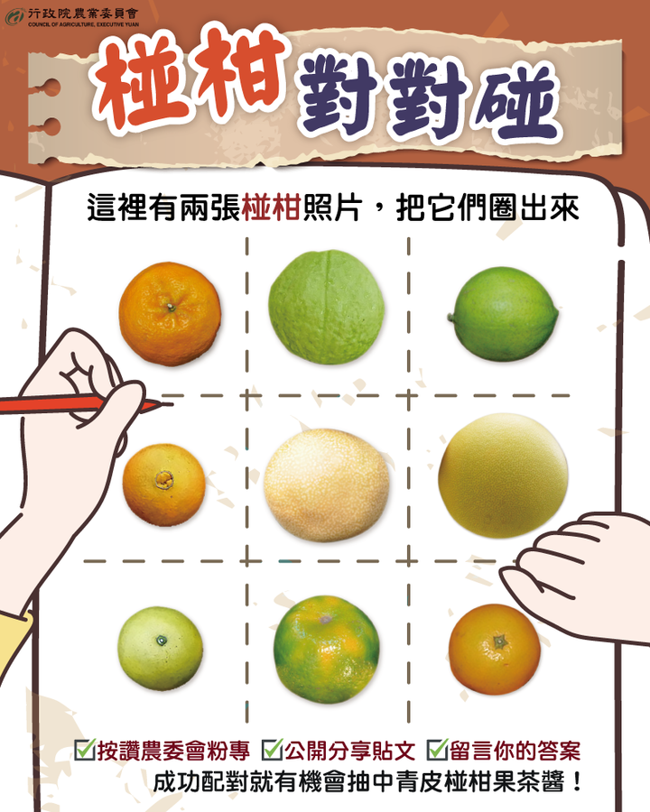椪柑對對碰—圈出正確的椪柑~留言即可抽獎