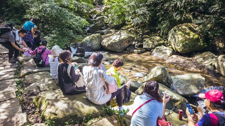 【2020芒花季】草嶺古道、桃源谷步道、大溪步道18公里一日單攻