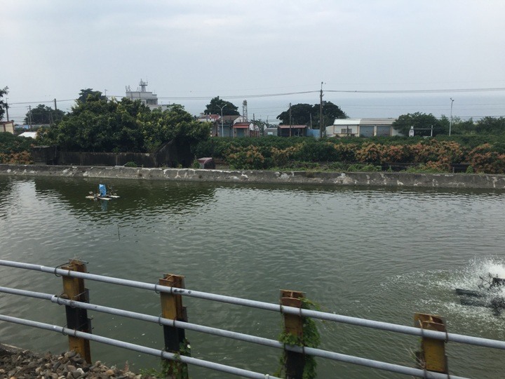 搭末班車「藍皮普快」騎遊台東鹿野