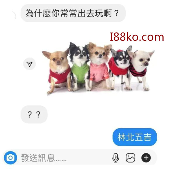 吉娃娃梗圖最近超級夯~最新吉娃娃圖!!