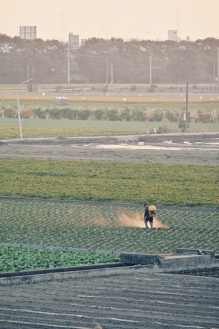 〖X-H1〗相輔相成好夥伴 與我前行的回憶