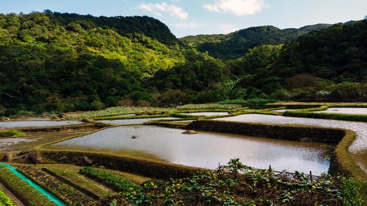 【2020芒花季】草嶺古道、桃源谷步道、大溪步道18公里一日單攻