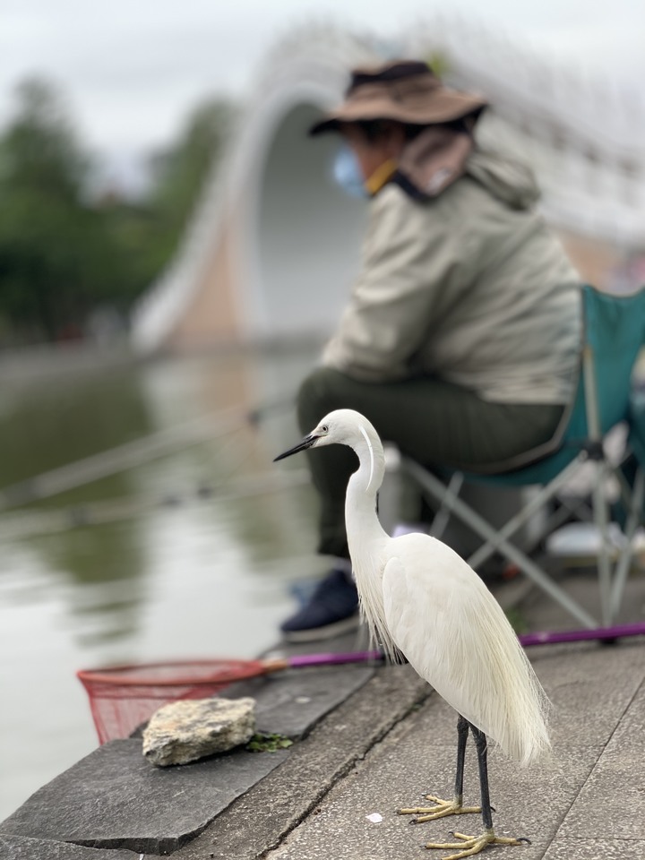點我看大圖