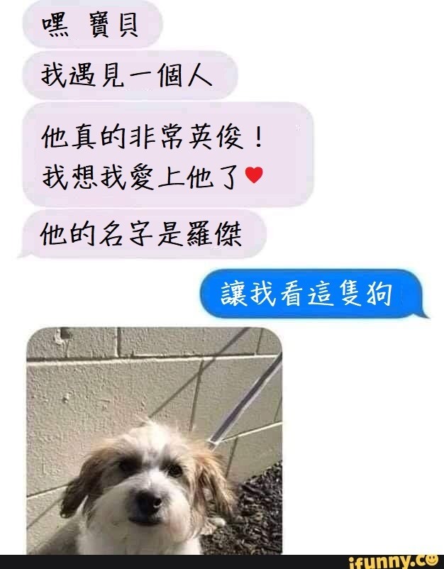 11.4 趣味梗圖 🐻🐻