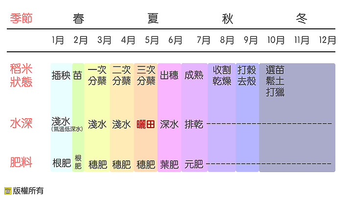 《天穗之咲稻姬》真的超推－遊戲測評影片