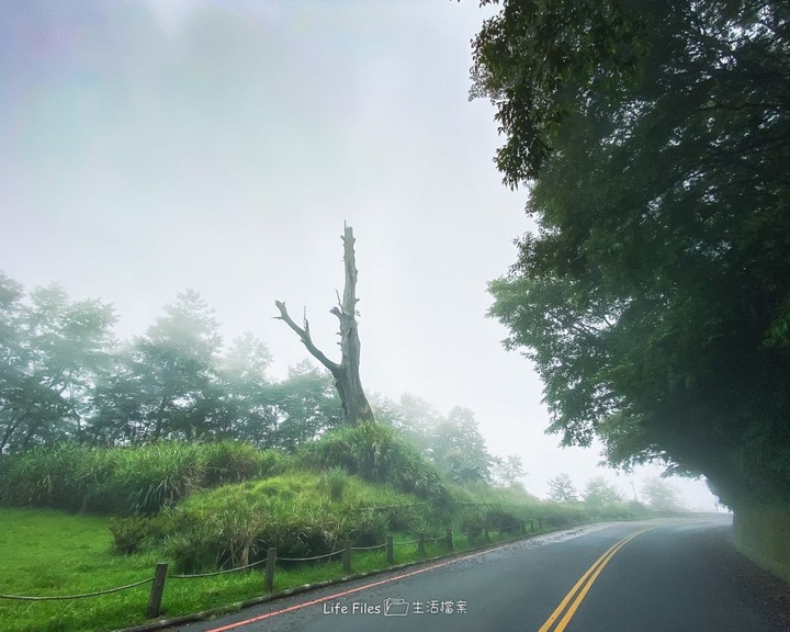 遊記|塔塔加 ‧玉山登山口 DAY 1 (超隨性旅程分享)